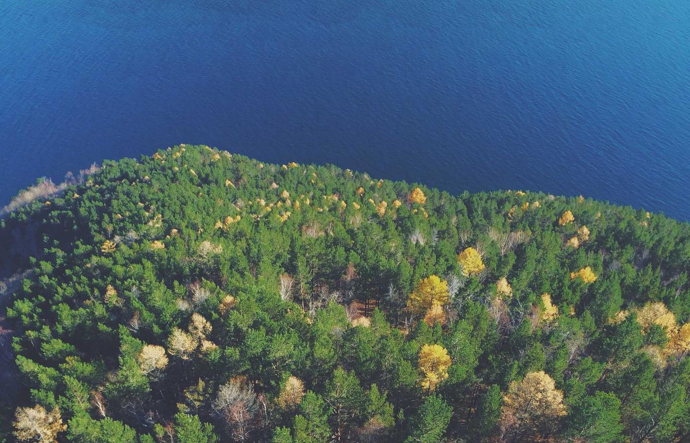 Analist die data op een scherm bekijkt