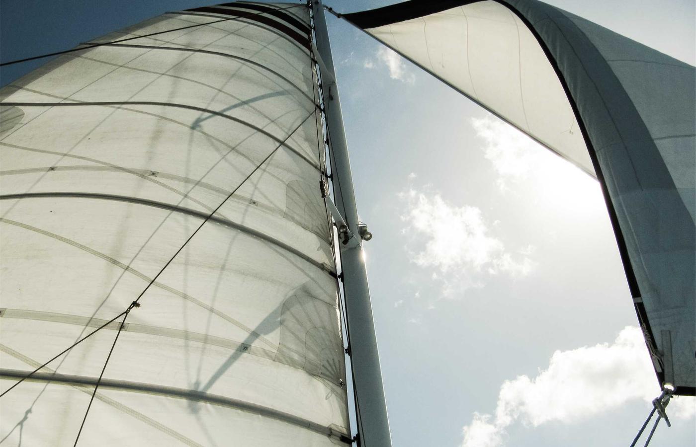 CEO van een tech startup