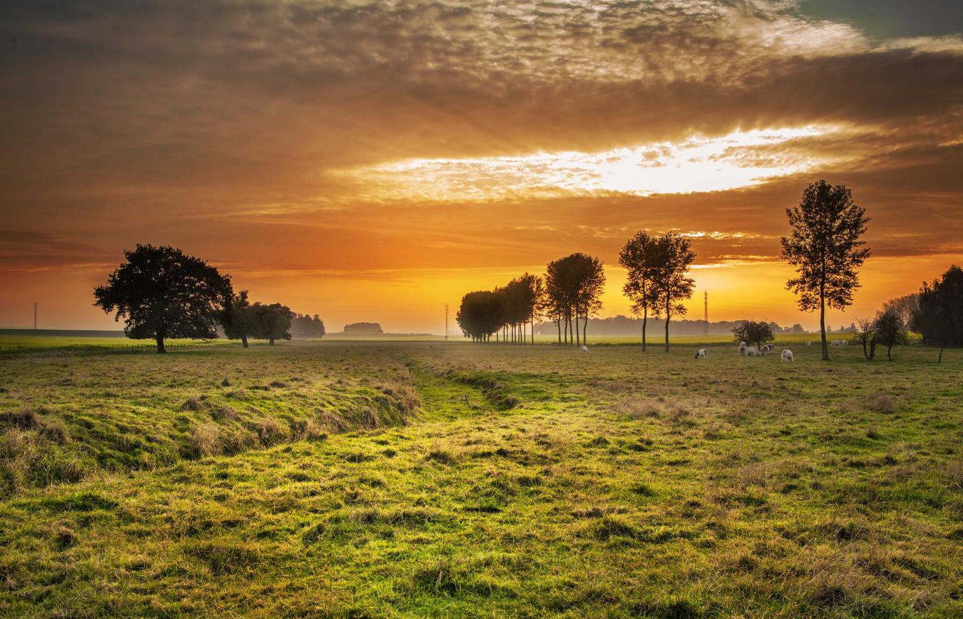 Foto van Eva Janssen