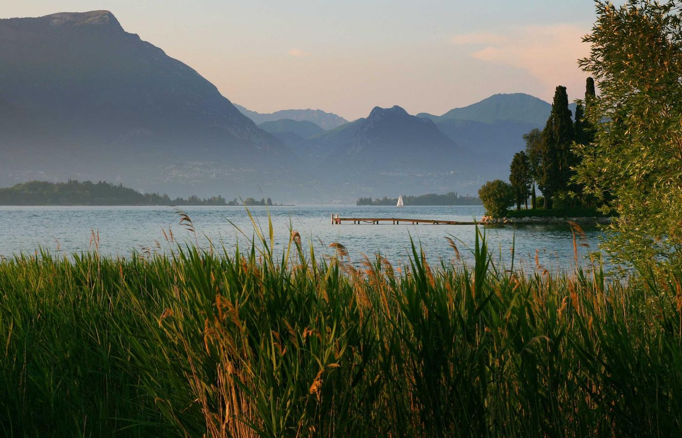 Grafieken op een computerscherm